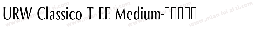 URW Classico T EE Medium字体转换